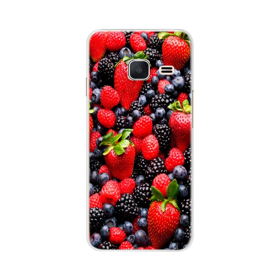 Чехол для телефона samsung J1 Mini J105 J105H samsung Galaxy J1 J120 J120F SM-J120F чехол-бампер Силиконовый ТПУ чехол с цветами