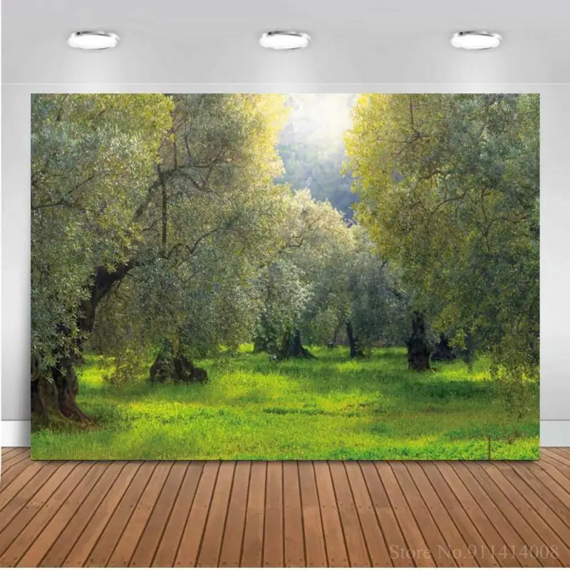 

Stone Road Way Outskirts Scenic Photography Backdrop White Cloud Sky Kids Portrait Photo Background For Studio Photoshoot