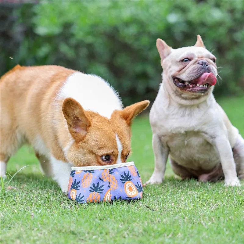 

Foldable Dog Bowl Outdoor Portable Waterproof Dog Bowl for Food/Water Easy to Clean Cloth Pet Feeder for Camping Hiking Durable