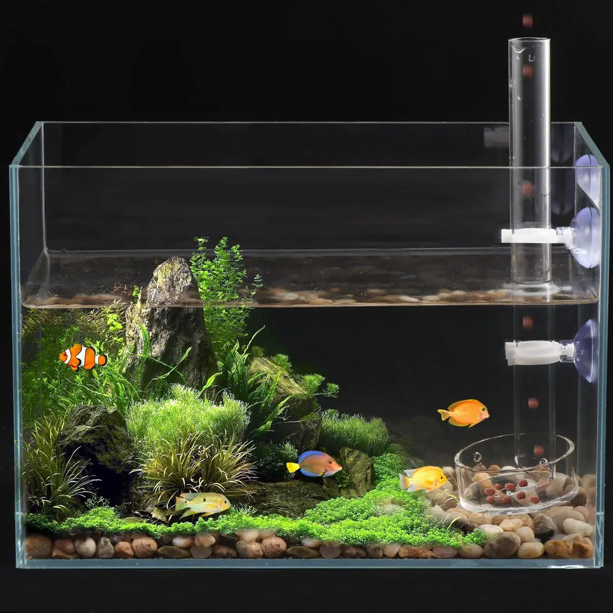 POPETPOP 1 комплект твердый прозрачный акриловый Собранный кормушка для креветок