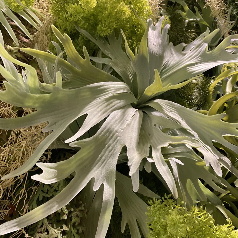 Имитация веера подсолнечник лист подорожник веер листья бриофита искусственные