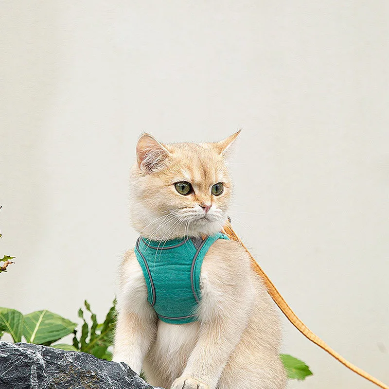 Комплект из жилета и ошейника с регулируемым поводком S-3XL | Дом сад