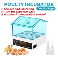 cute mini automatic 4 eggs incubator temperature control chick duck hatcher brooder hatchery egg incubator equipment for home