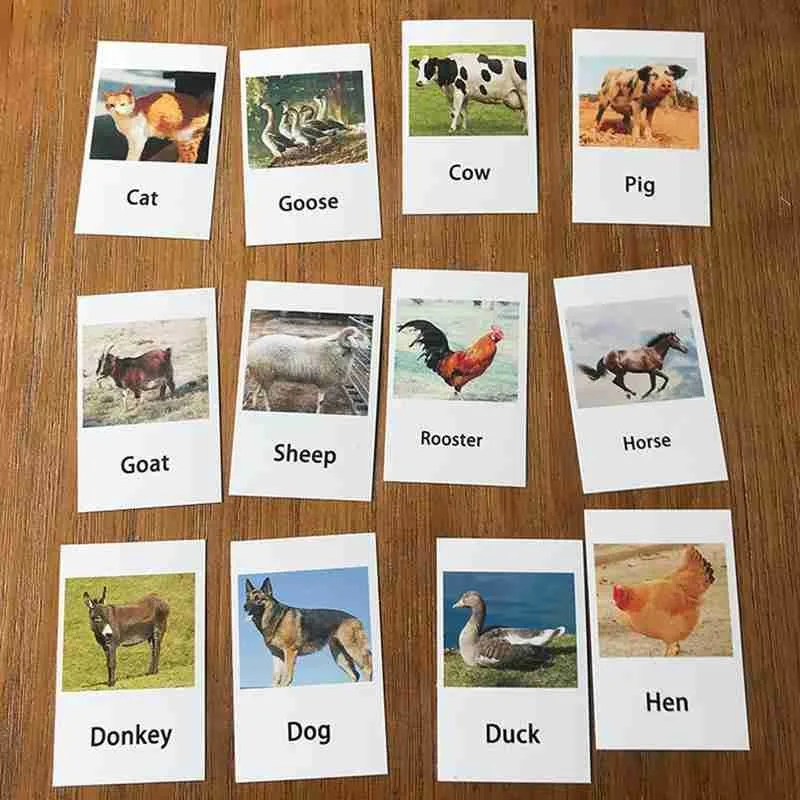 Montessori Animal Model English Words Match Cards Creative Animals Cognition Learning Teaching Aids Kids Educational Toy | Игрушки и
