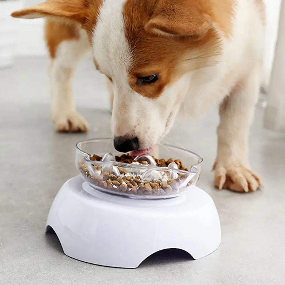 

Weighing Pet Bowl Waterproof Dog Food Durable To Protect Cervical Bacteria Control Digital Pet Bowl