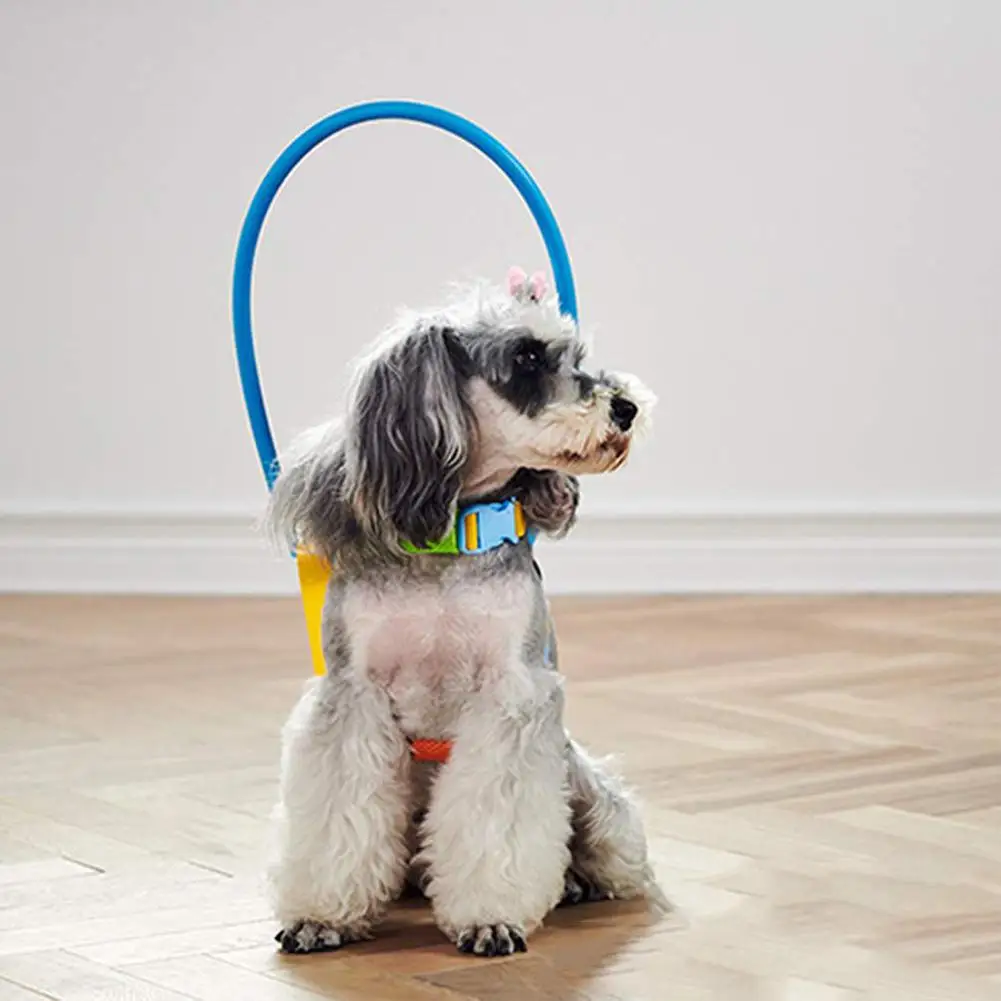 MeterMall Blind Pet Anti-collision Ring Scorpion Cataract Animal Protection Circle Dog Harness dog leash for Chihuahua pet | Дом и сад