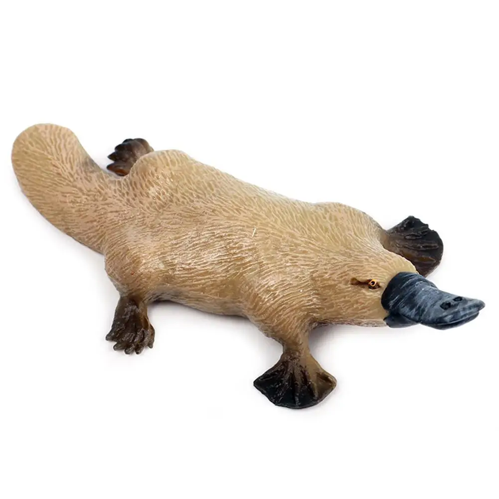 

Реалистичная фигурка животного Platypus, скульптурная модель, настольное украшение, детская игрушка, подарок