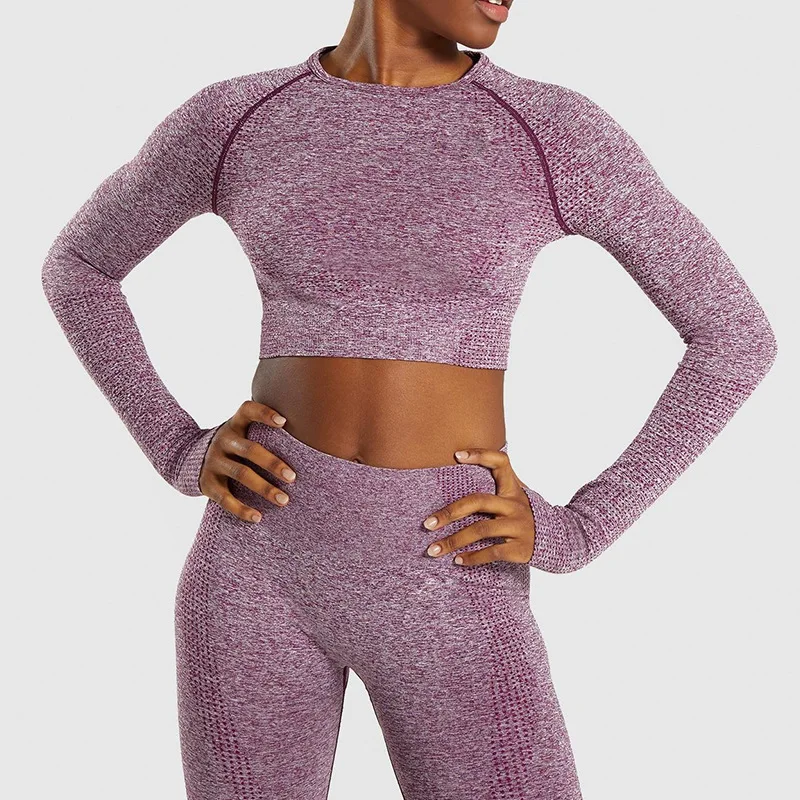 

NEW Women Seamless Yoga Set Gym Clothing Fitness Leggings+Cropped Shirts Sport Suit Long Sleeve Tracksuit Active Wear