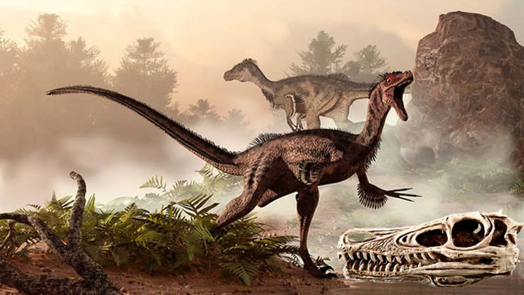 

Resin Imitation Dinosaur Skull Model Simulated Raptors Skeleton Decoration Display Decorative Gift