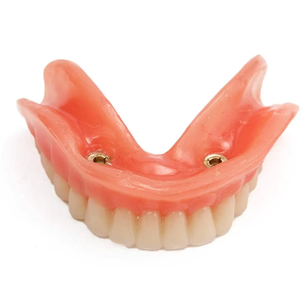 Модель зубов для взрослых стандартная модель обучения демонстрация орального и