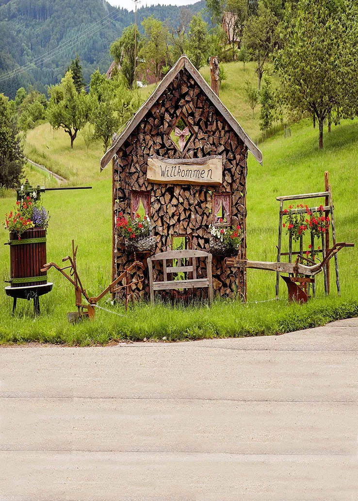 Фотофон для студийной фотосъемки с цветком в каюте Прейри | Электроника