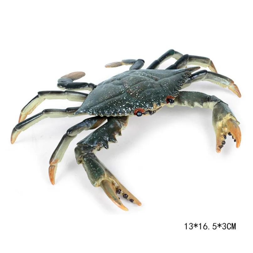 New swimming crab Имитация краба детская морская игрушка дикой природы большой цветок лошадиных крабов модели образовательных игрушек для детей подарок на день рождения - Цвет: New swimming crab