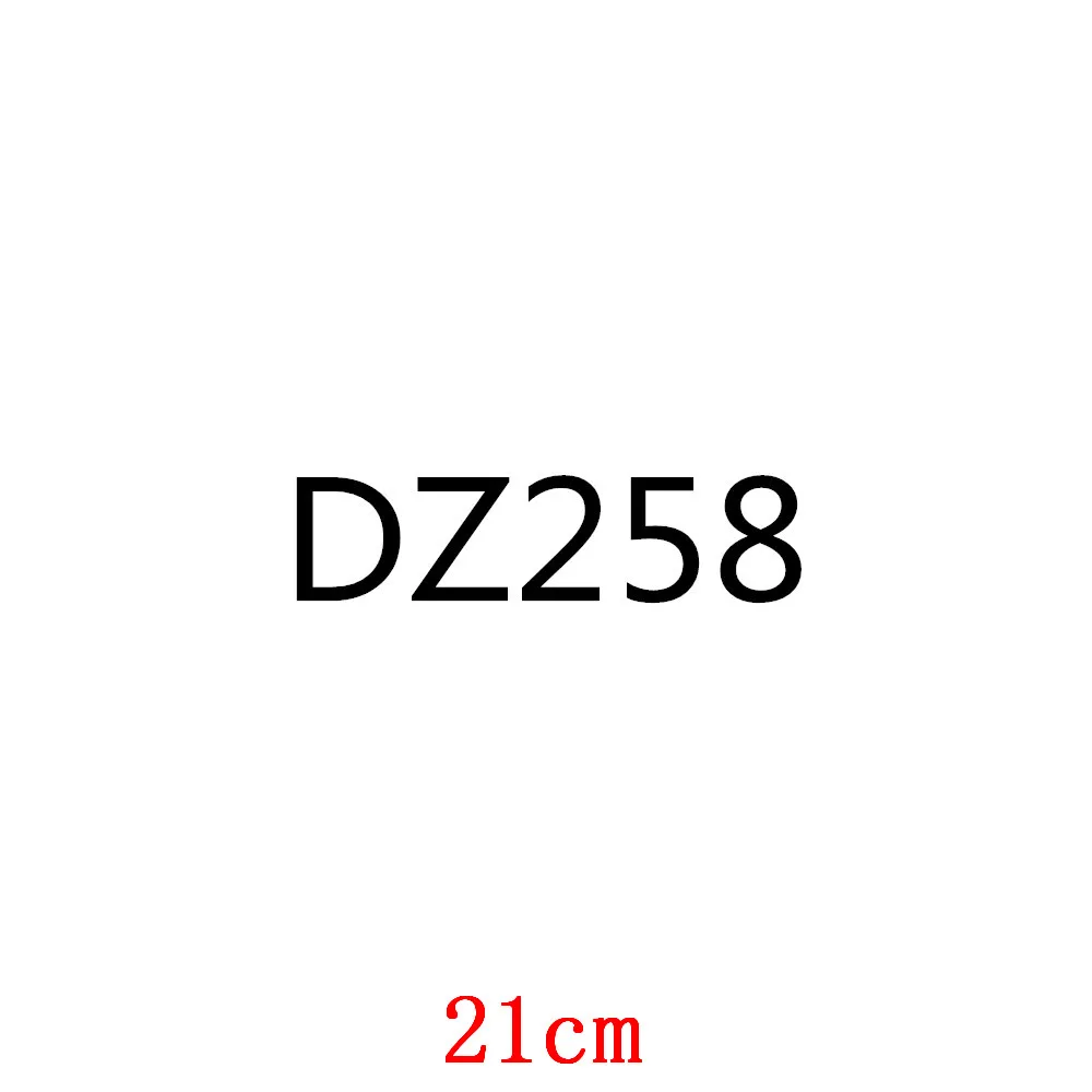

DZ258-21