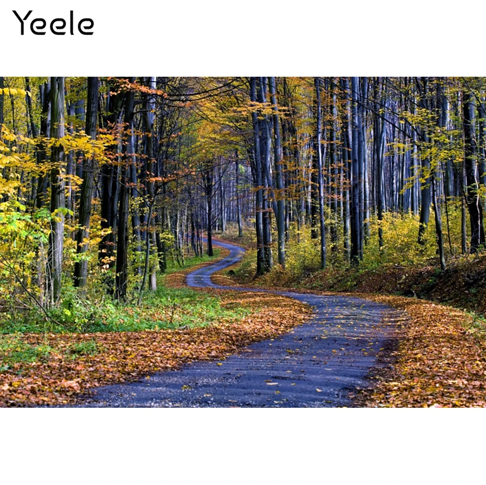 

Осенний пейзаж Yeele, декор для комнаты, фотосессия, золотые листья, фотографический фон для детского душа, фотография для фотостудии