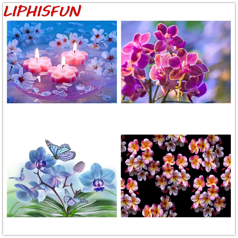 5D алмазная вышивка Орхидея цветок крестом сделай сам живопись Бабочка картина