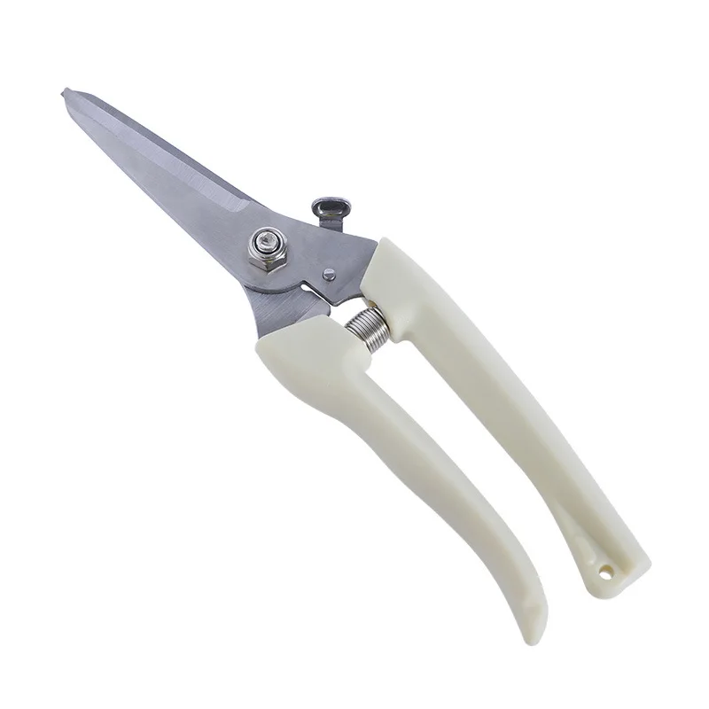 

Garden Tools Plant Trim Horticulture Hand Pruner Cut Secateur Shrub Garden Scissor Tool Anvil Branch Shear Orchard Pruning Shear