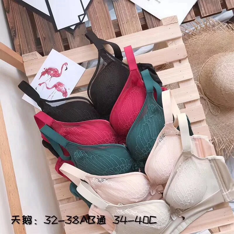 

New lace bra ladies gather without steel ring bra