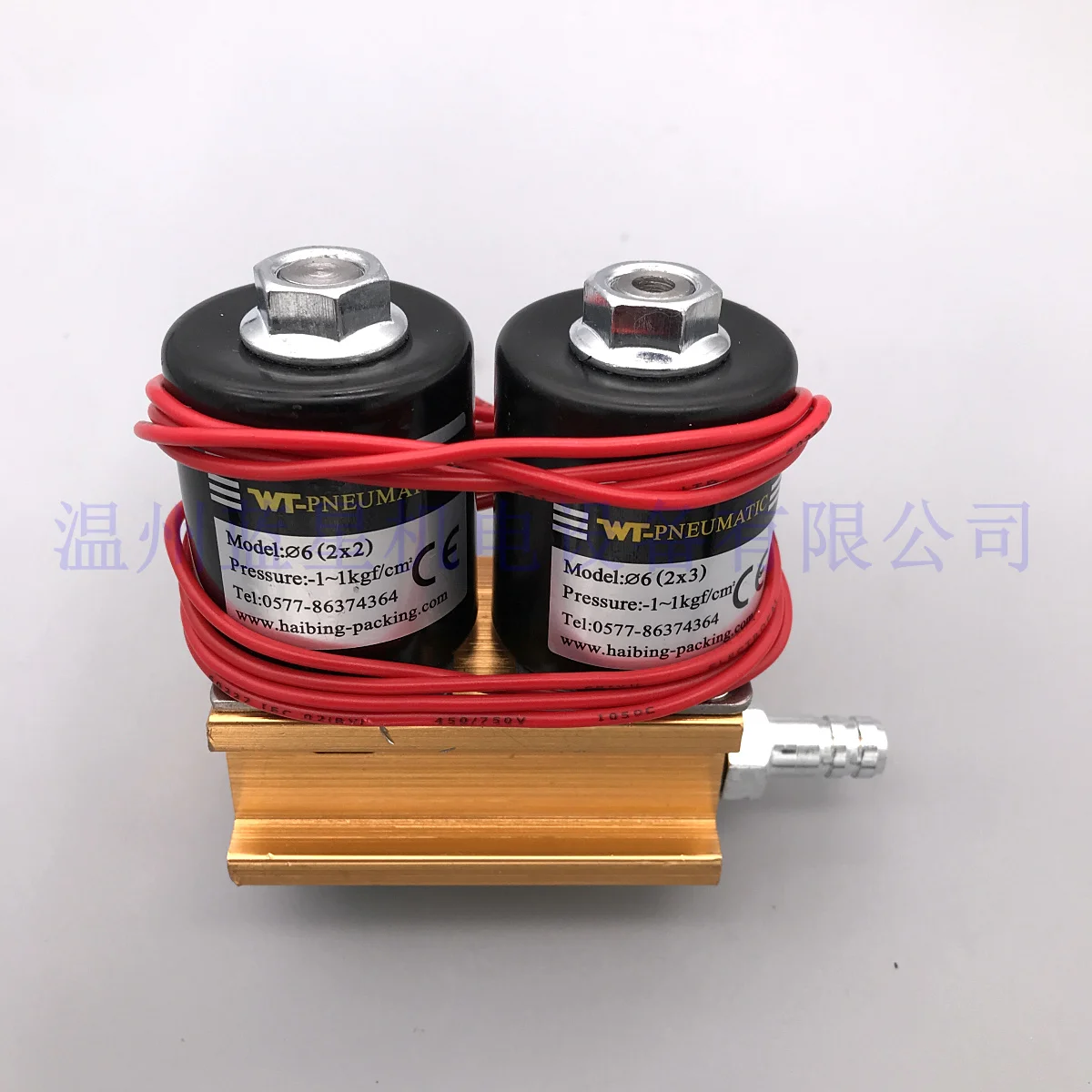 

WT-PNEUMATIC Соленоидный клапан для упаковки у пляжа, заводской комбинированный клапан ￠ 6(2X2) и 6(2X3) 220 В 24 В