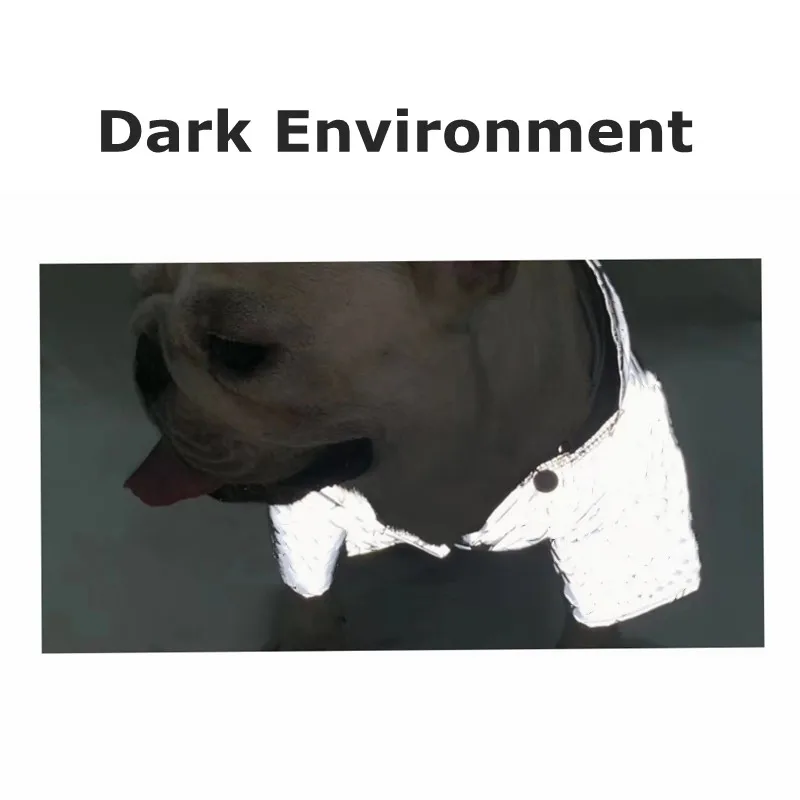 Ветровка в виде французского бульдога светоотражающая уличная куртка для собак