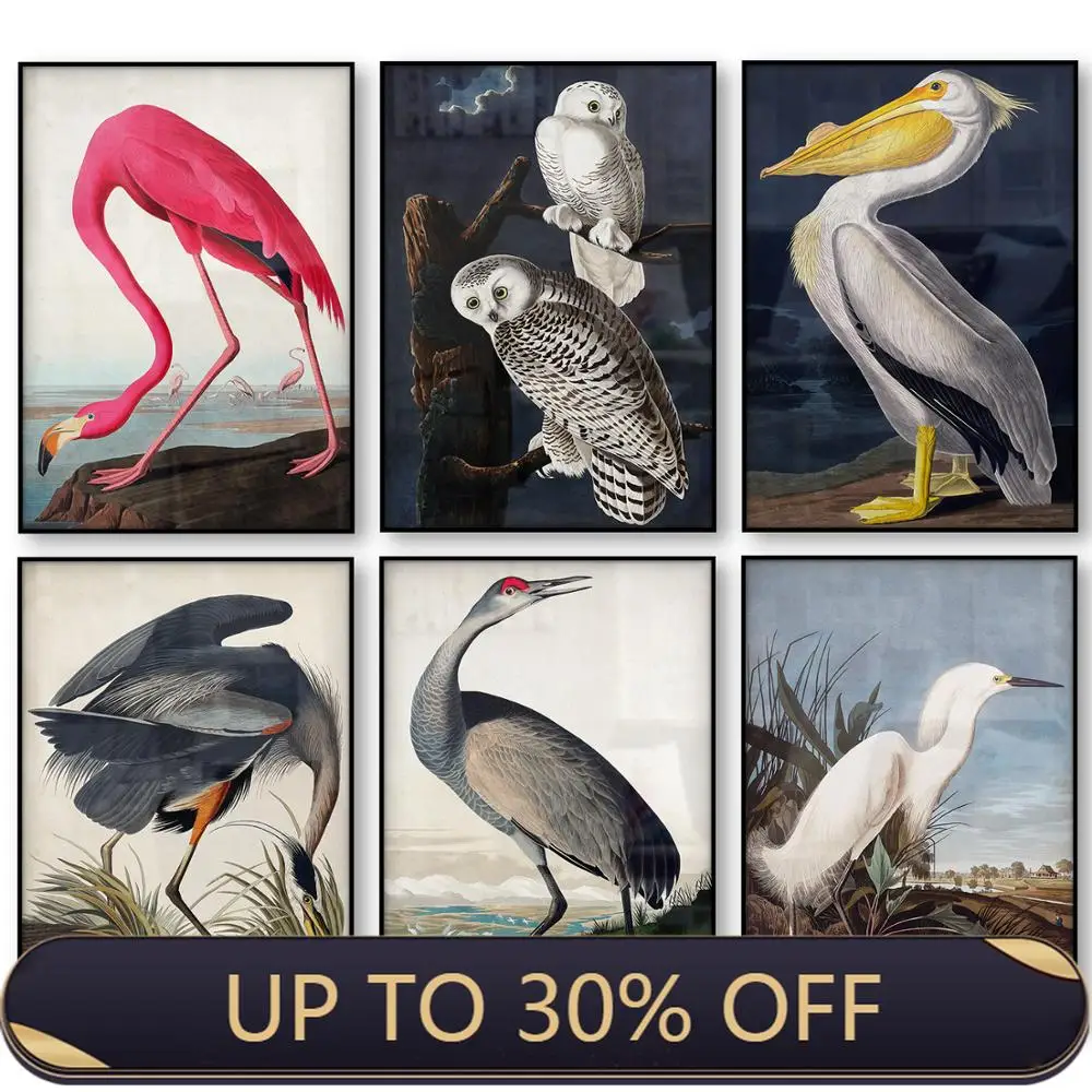 Винтаж птица холст для живописи принт Audubon плакаты с птицами розовый снежные