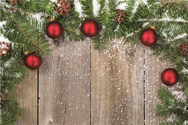 

Vinyl Custom Photography Backdrops Prop Christmas day and Board Photography Background C20422-45