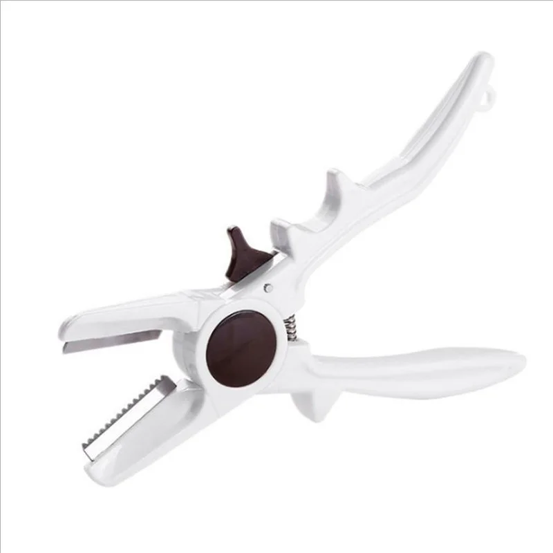 

Walnut Clip Chestnut Opener Chestnut Peeler Open Knife Clip