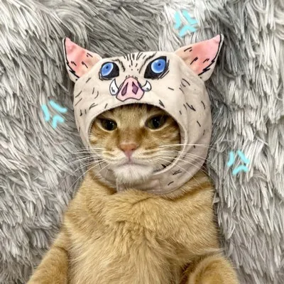 Плащ накидка для косплея аниме истребитель демонов комплект агацума зенитсу