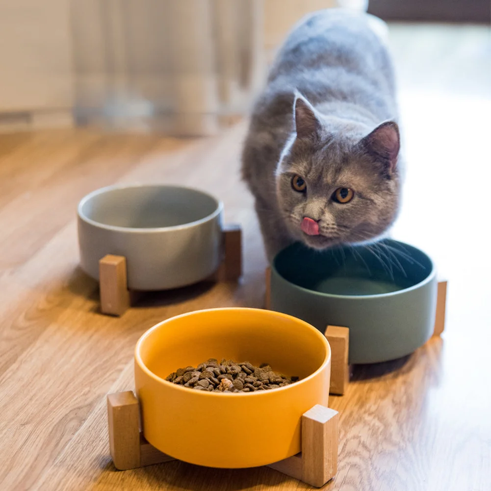 

Ceramic Pet Cat Bowl with Anti-Slip Bamboo Stand Raised Neck Care Feeder Round Dog Food Bowl Elevated Kitten Puppy Bowls