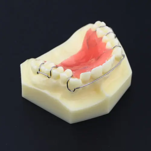 Стоматологические зубы обучения модель Hawley фиксатор 3007 01 | Красота и здоровье