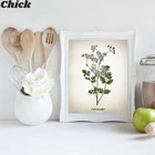 Травяная Картина на холсте винтажная травяная иллюстрация плакаты и принты кулинарные травы растительная кухня Настенная картина Декор