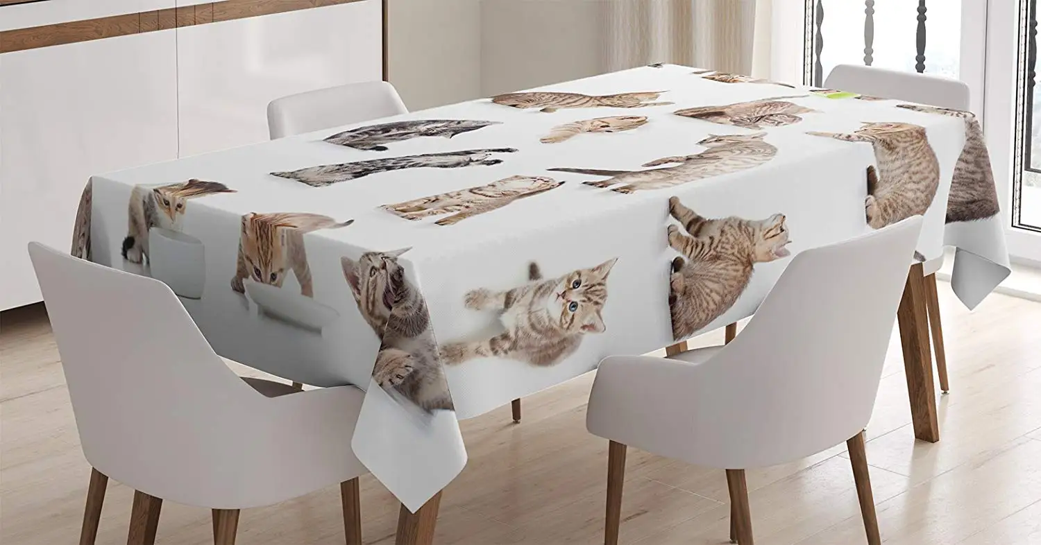 Кот любовник Декоративная скатерть Забавный игривый Ba котенок ПЭТ шотландский