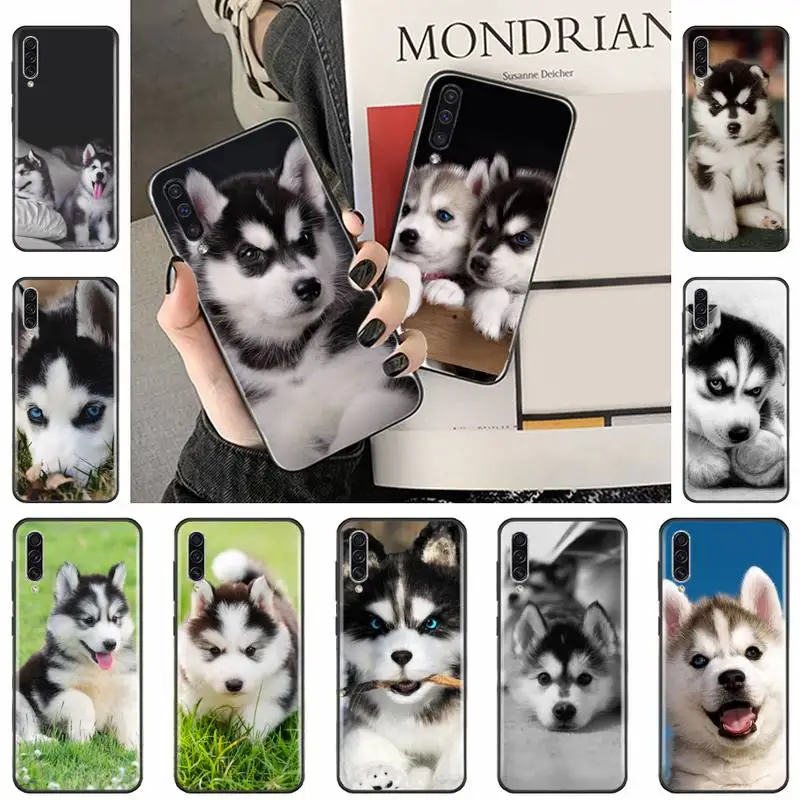 

Husky lovely funny animals Phone Case For Samsung galaxy A S note 10 12 20 32 40 50 51 52 70 71 72 21 fe s ultra plus