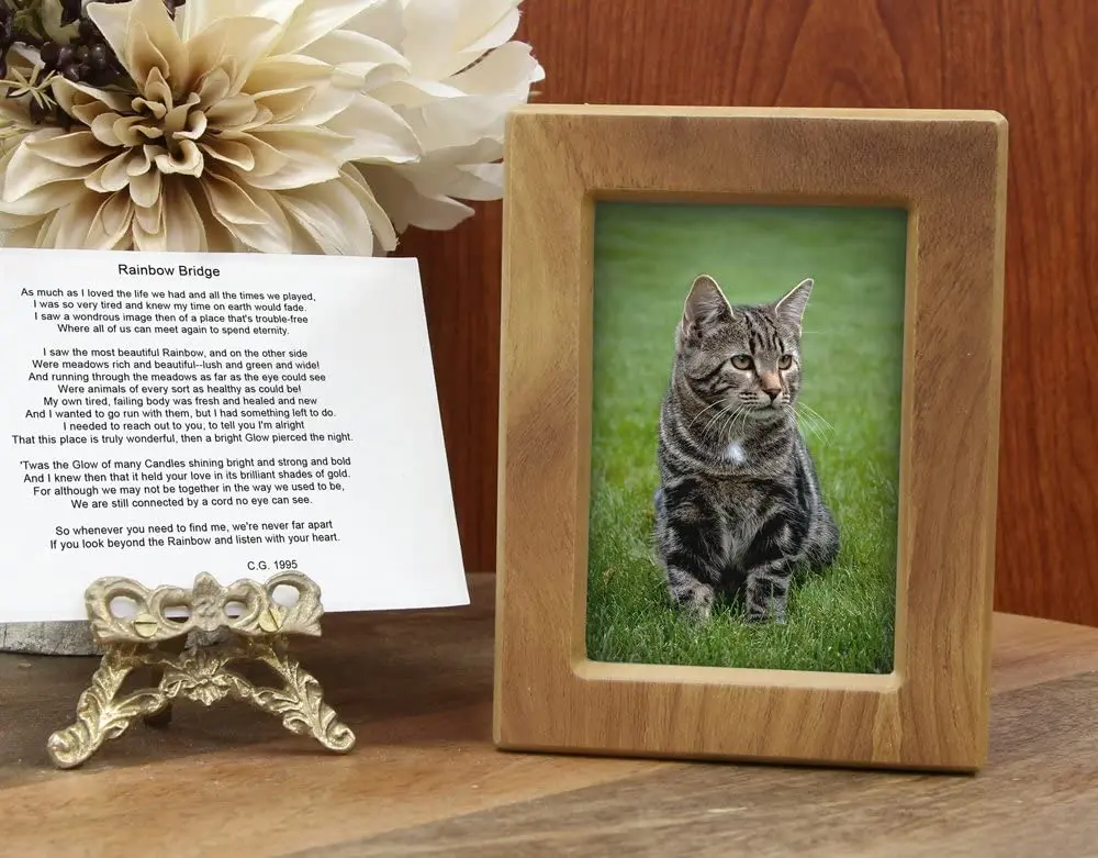 

Pet Memorial Album to commemorate pets