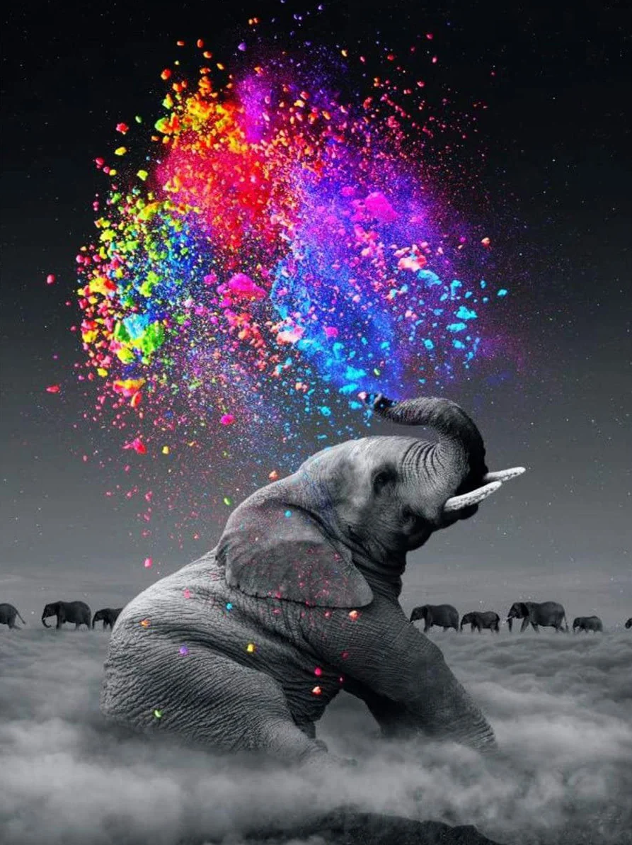 Набор для рисования по номерам на холсте 40 х50 см|Картины номерам| |