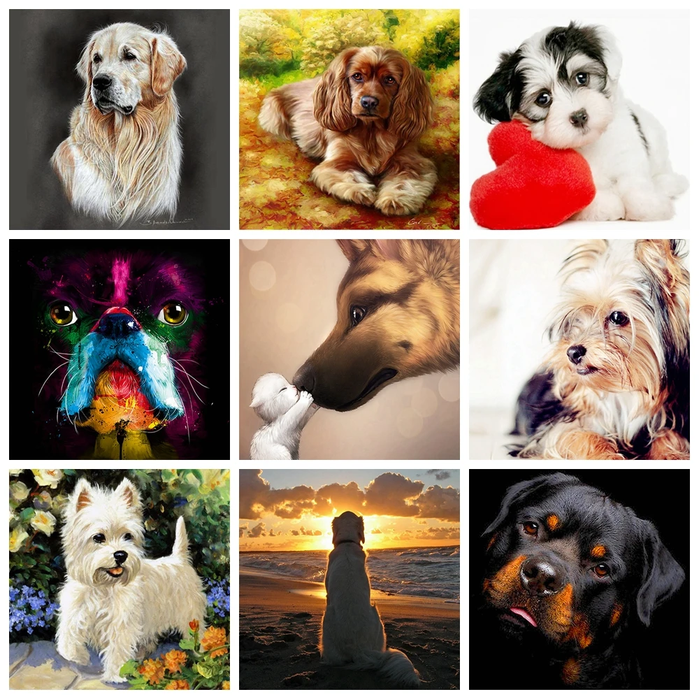 Алмазная живопись собака полная дрель вышивка Стразы Вышивка крестиком DIY