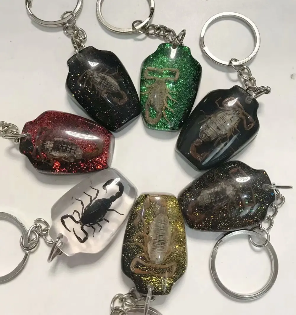 10 шт. ваза брелок в виде скорпиона|Брелоки| |