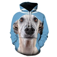2021 autumn and winter fashion fashion 3d sweatshirt men and women puppy print hooded top plus size 6xl