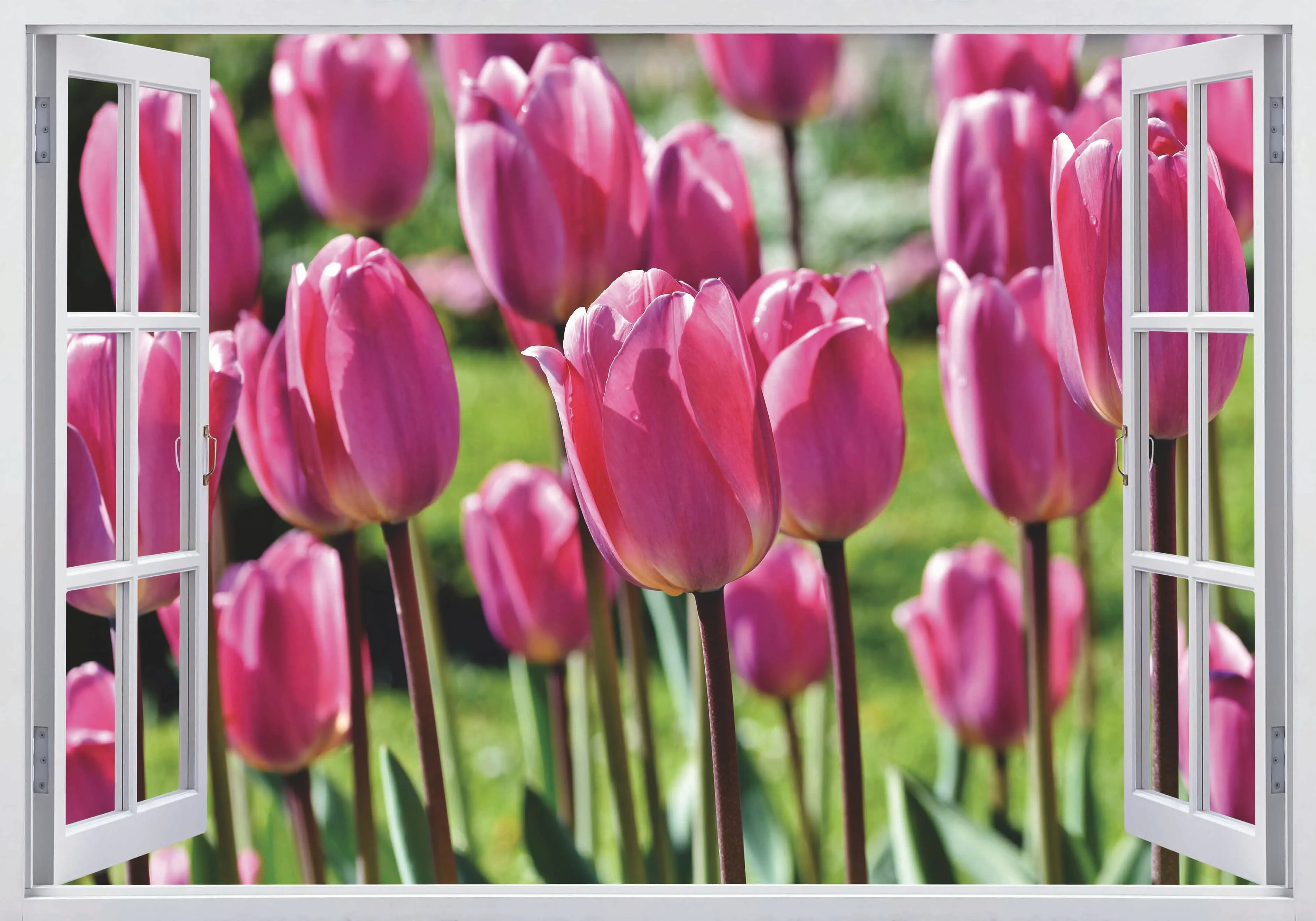 Виниловая настенная рама для окон с цветами наклейки на стене обои|Наклейки