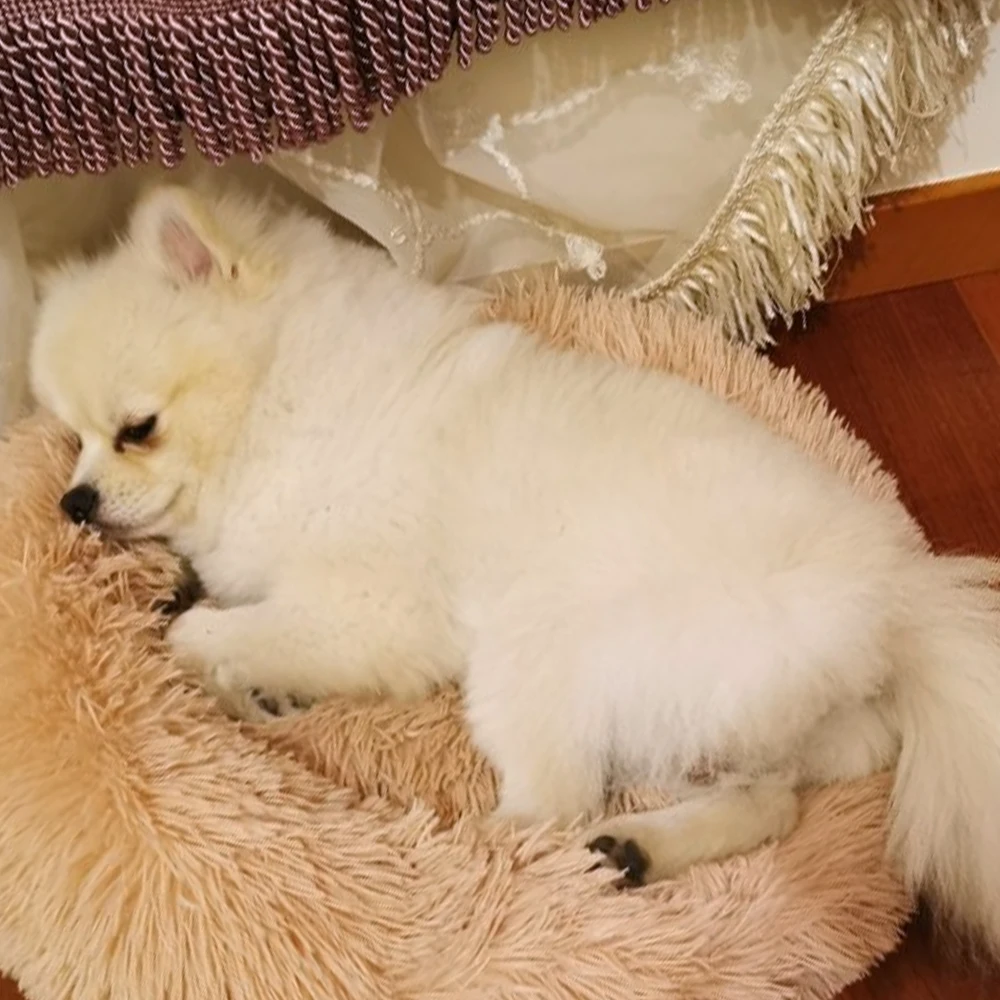 Round Plush Cat Bed House Pet Dog For Small Dogs Cats Soft Long Nest Winter Warm Sleeping Puppy Mat | Дом и сад