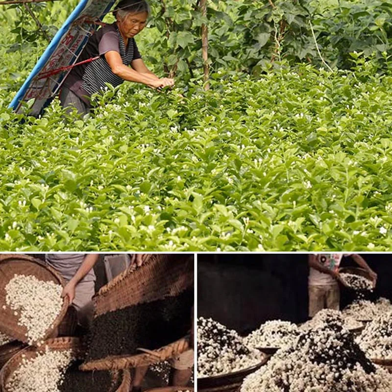 

2019 Year Yunnan Fengqing Dianhong Three Smoked Jasmine Black Cha Kung Fu Hong Tea Chinese Special Gift Dian Hong Cha