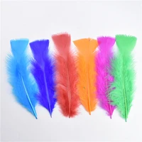 20pcslot pheasant feather turkey feathers for crafts 13 18cm5 7 wedding feathers for jewelry making carnaval assesoires plumas
