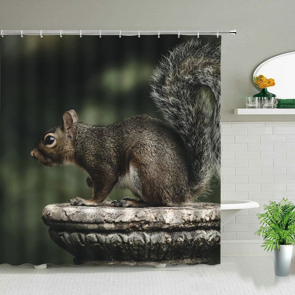 

Cute Animals Squirrel Shower Curtains Trees Modern Natural Landscape Bathroom Decor With Hooks Waterproof Hanging Curtain Set