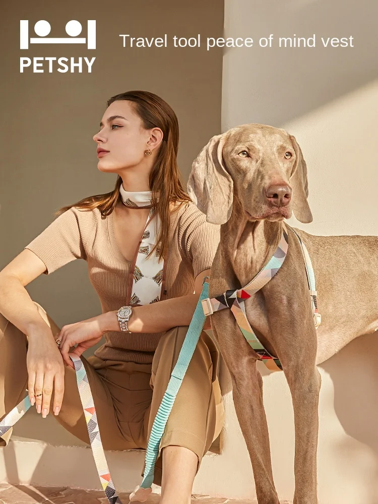 PETSHY Y-shaped chest harness fashion vest type pet dog traction rope dog walking chain dog harness and leash set designer