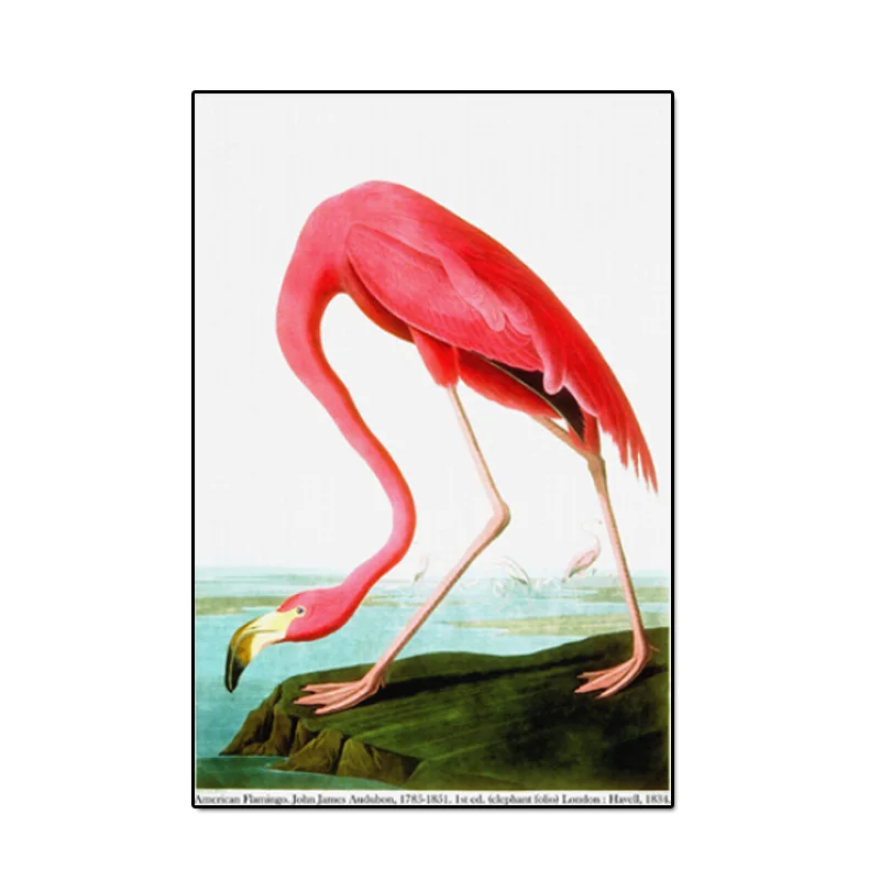 American Flamingo Плакат, холст, живопись с животными, Розовый фламинго, картина маслом, настенные художественные картины для гостиной, Куадрос, домашний декор, без рамки - Цвет: American Flamingo