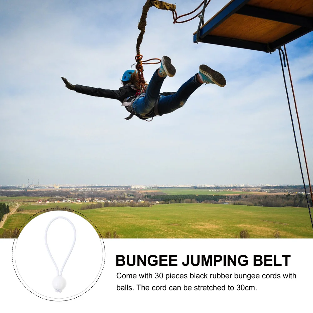 

30Pcs Heavy Duty Tarp Bungee Cords Black Bungee Cords for Camping Tents