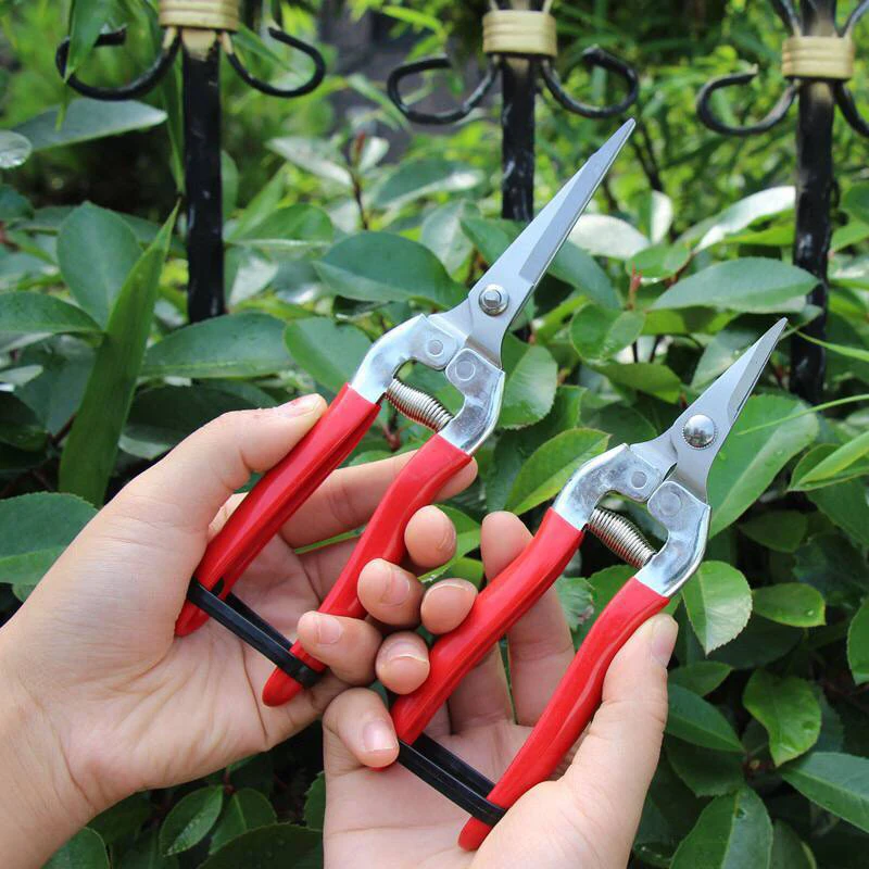 

Stainless Steel Tree Pruning Garden Shears Grass Fruit Cutter Gardening Scissors Branch Pruners LKS99