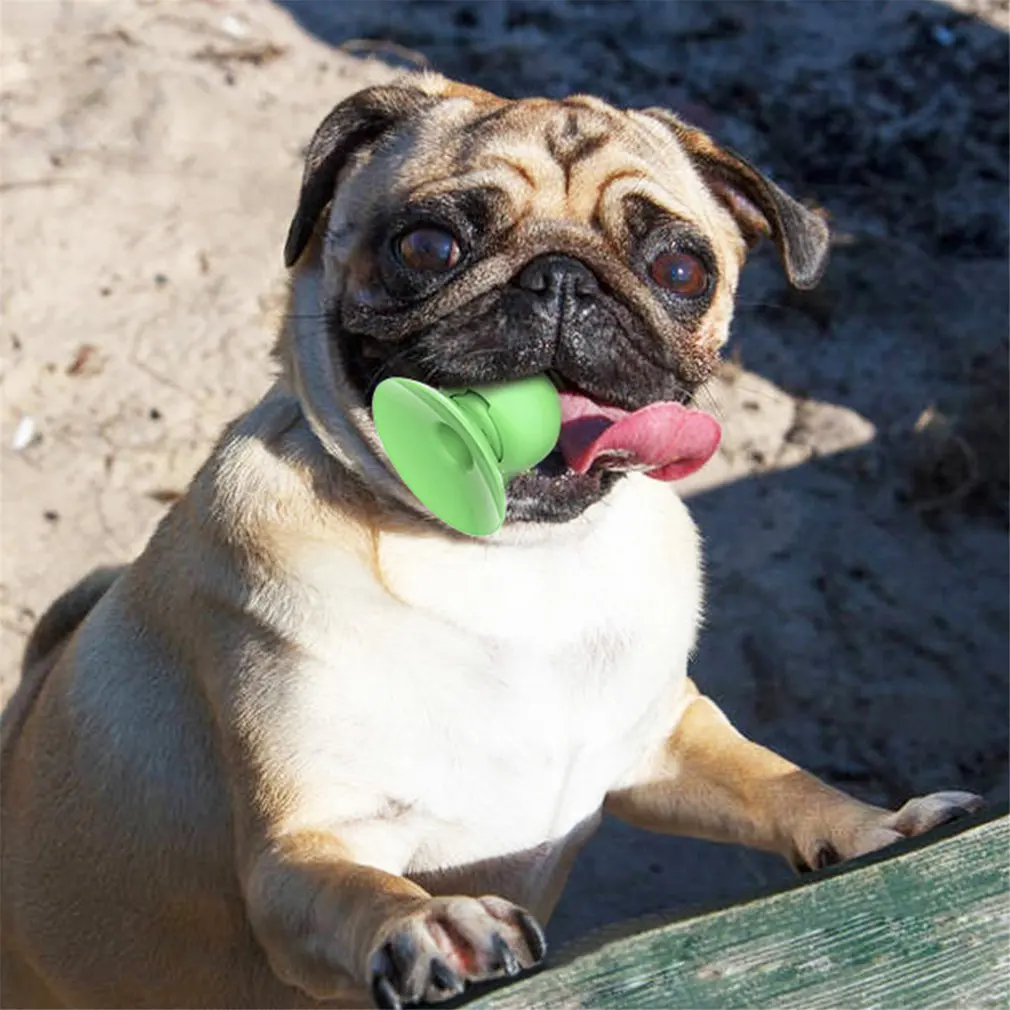 Анти-крикет медленно Еда пластина интерактивная игрушка для кошек лечения