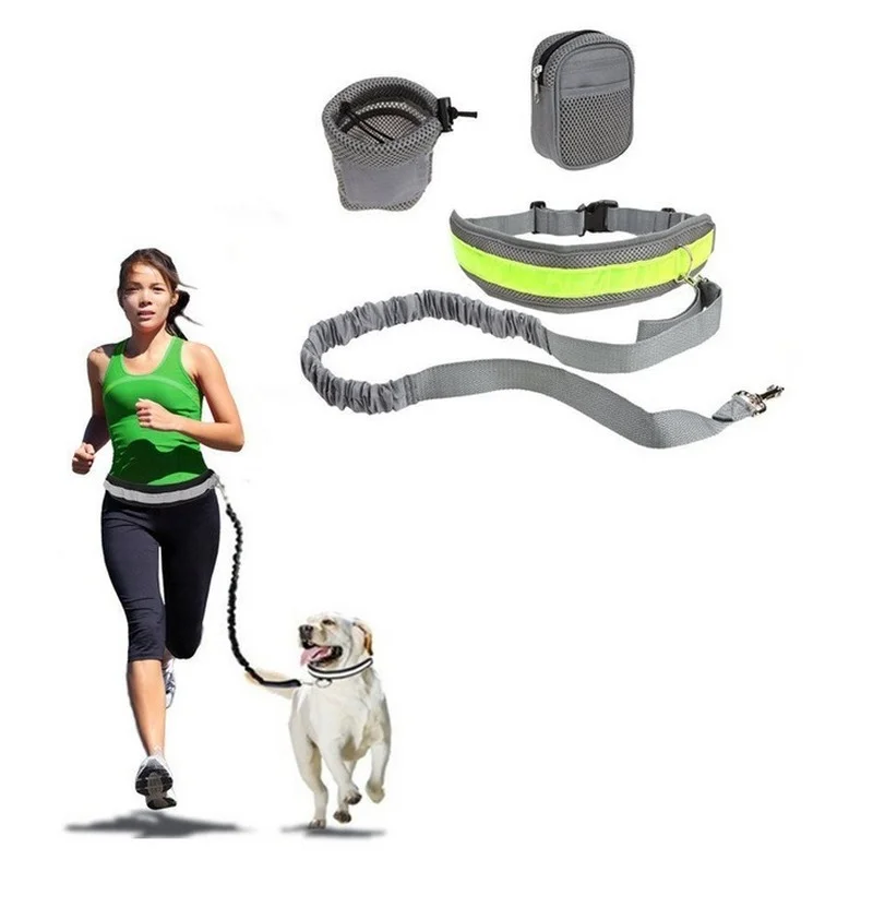 

Поводок для собак со светоотражающей полосой, эластичный пояс со светоотражающими полосками, с карманами, для бега и прогулок