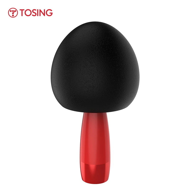 TOSING V3 Hot Classic Cute Mushroom Karaoke Microphone 10W Speaker Magic Sound Effects for Kids Youngster Singing Fun to Family |