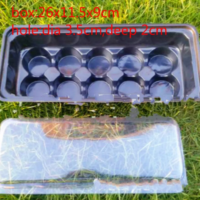

20 шт./лот, бесплатная доставка, пластиковый подогреватель для зеленого дома, горшок для рассады семян, Садовые принадлежности, оптовая продажа